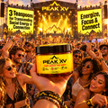 PEAK XV Rare Harvest Mad Honey | Authentic Himalayan Honey - Five Jars (Each Jar is 3.3 oz / 96 g)